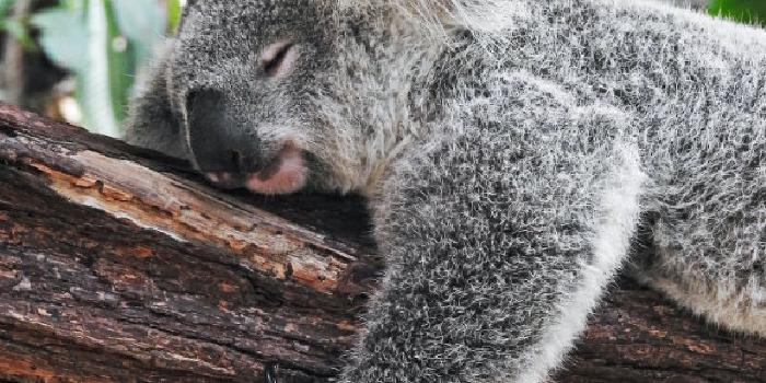 Confortevole mediocrità e come superarla