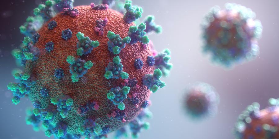 Il virus vi è entrato nel cervello: la pandemia memetica
